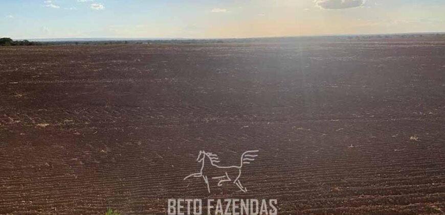 Fazenda de Soja e Algodão 46.000 hectares Estrutura Completa no Mato Grosso Fazenda de Soja e Algodão 46.000 hectares Estrutura Completa no Mato Grosso