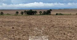 Fazenda de Soja e Algodão 46.000 hectares Estrutura Completa no Mato Grosso Fazenda de Soja e Algodão 46.000 hectares Estrutura Completa no Mato Grosso