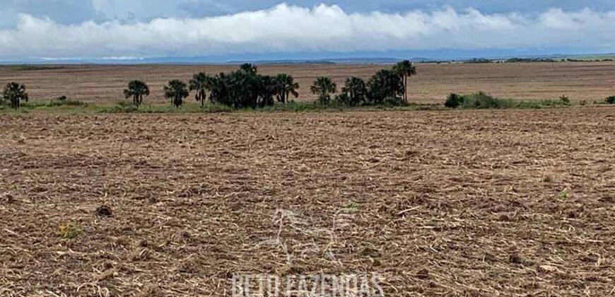 Fazenda de Soja e Algodão 46.000 hectares Estrutura Completa no Mato Grosso Fazenda de Soja e Algodão 46.000 hectares Estrutura Completa no Mato Grosso