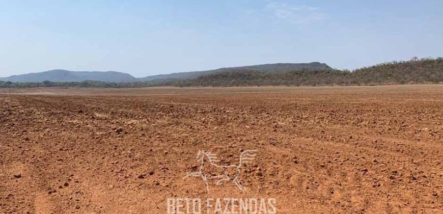 Fazenda de Soja e Algodão 46.000 hectares Estrutura Completa no Mato Grosso Fazenda de Soja e Algodão 46.000 hectares Estrutura Completa no Mato Grosso