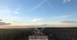 Fazenda de Soja e Algodão 46.000 hectares Estrutura Completa no Mato Grosso Fazenda de Soja e Algodão 46.000 hectares Estrutura Completa no Mato Grosso