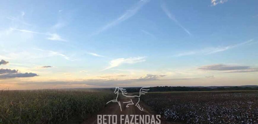 Fazenda de Soja e Algodão 46.000 hectares Estrutura Completa no Mato Grosso Fazenda de Soja e Algodão 46.000 hectares Estrutura Completa no Mato Grosso