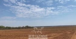 Fazenda de Soja e Algodão 46.000 hectares Estrutura Completa no Mato Grosso Fazenda de Soja e Algodão 46.000 hectares Estrutura Completa no Mato Grosso