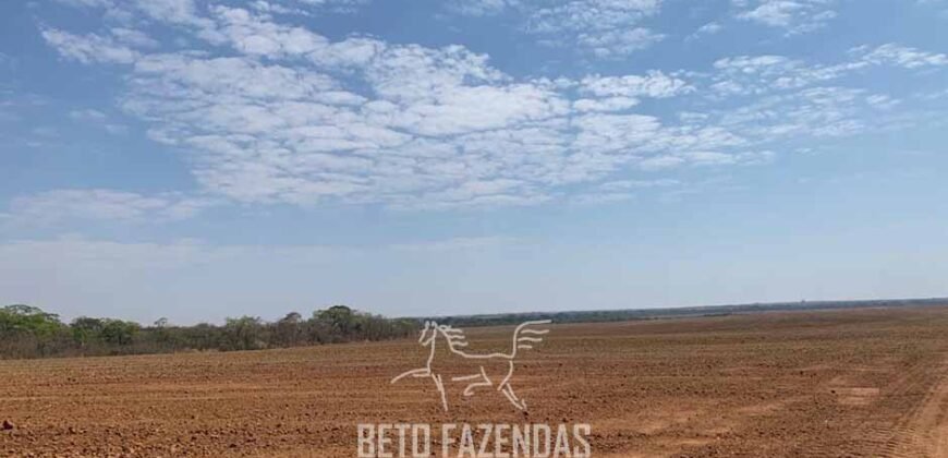 Fazenda de Soja e Algodão 46.000 hectares Estrutura Completa no Mato Grosso Fazenda de Soja e Algodão 46.000 hectares Estrutura Completa no Mato Grosso