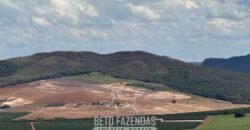 Fazenda de Café à Venda 90 Hectares Riquíssima em Água Próximo à Represa de Furnas | Guapé /MG