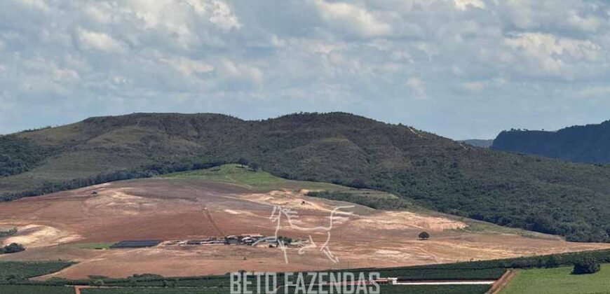 Fazenda de Café à Venda 90 Hectares Riquíssima em Água Próximo à Represa de Furnas | Guapé /MG