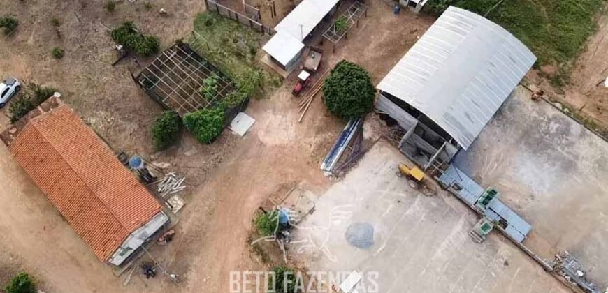 Fazenda de Café à Venda 90 Hectares Riquíssima em Água Próximo à Represa de Furnas | Guapé /MG