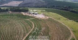 Fazenda de Café à Venda 90 Hectares Riquíssima em Água Próximo à Represa de Furnas | Guapé /MG