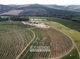 Fazenda de Café à Venda 90 Hectares Riquíssima em Água Próximo à Represa de Furnas | Guapé /MG