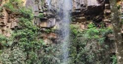 Fazenda de Café à Venda 90 Hectares Riquíssima em Água Próximo à Represa de Furnas | Guapé /MG