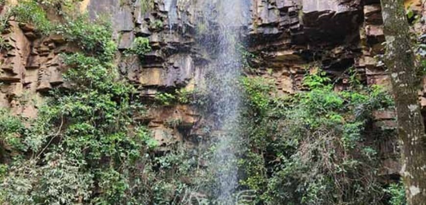 Fazenda de Café à Venda 90 Hectares Riquíssima em Água Próximo à Represa de Furnas | Guapé /MG