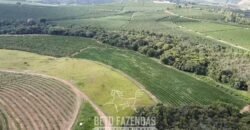 Fazenda de Café à Venda 90 Hectares Riquíssima em Água Próximo à Represa de Furnas | Guapé /MG