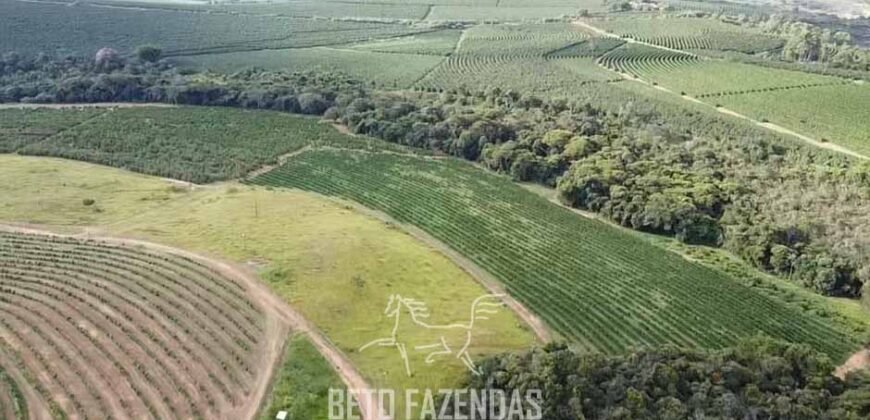 Fazenda de Café à Venda 90 Hectares Riquíssima em Água Próximo à Represa de Furnas | Guapé /MG
