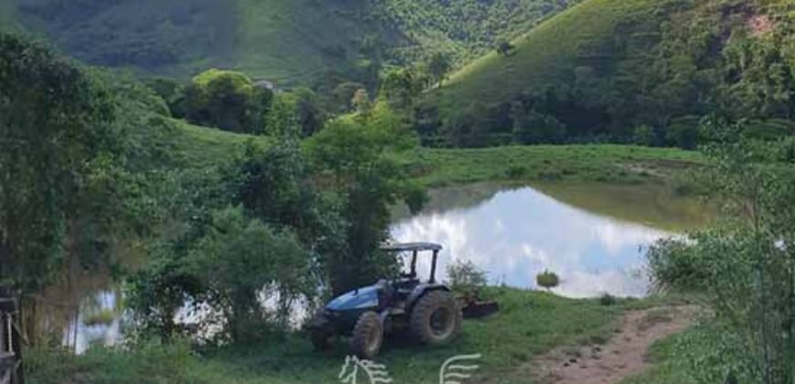 Fazenda à Venda 181,5 Hectares para Pecuária Infraestrutura Completa | Santa Rita/ MG