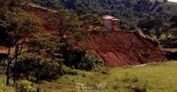 Fazenda à Venda 181,5 Hectares para Pecuária Infraestrutura Completa | Santa Rita/ MG