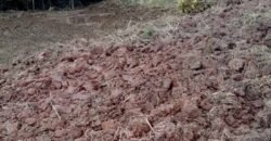 Fazenda à Venda 181,5 Hectares para Pecuária Infraestrutura Completa | Santa Rita/ MG