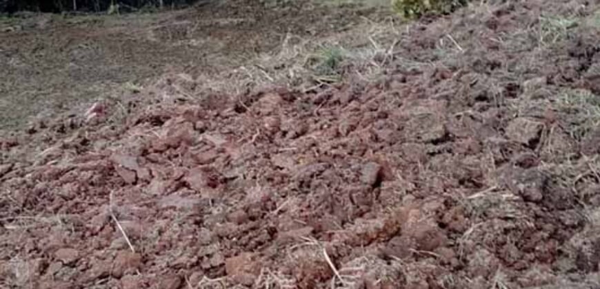 Fazenda à Venda 181,5 Hectares para Pecuária Infraestrutura Completa | Santa Rita/ MG