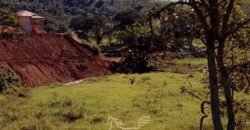 Fazenda à Venda 181,5 Hectares para Pecuária Infraestrutura Completa | Santa Rita/ MG