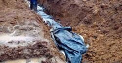 Fazenda à Venda 181,5 Hectares para Pecuária Infraestrutura Completa | Santa Rita/ MG