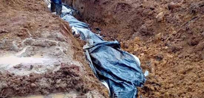 Fazenda à Venda 181,5 Hectares para Pecuária Infraestrutura Completa | Santa Rita/ MG