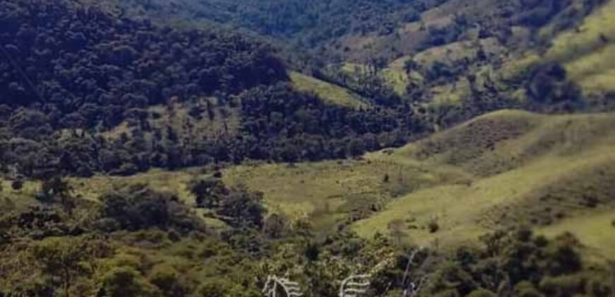 Fazenda à Venda 181,5 Hectares para Pecuária Infraestrutura Completa | Santa Rita/ MG