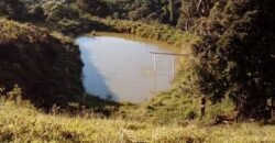 Fazenda à Venda 181,5 Hectares para Pecuária Infraestrutura Completa | Santa Rita/ MG