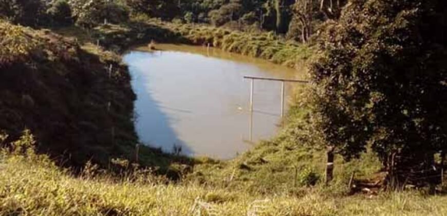 Fazenda à Venda 181,5 Hectares para Pecuária Infraestrutura Completa | Santa Rita/ MG