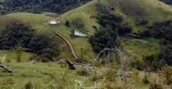 Fazenda à Venda 181,5 Hectares para Pecuária Infraestrutura Completa | Santa Rita/ MG