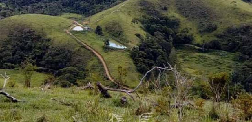 Fazenda à Venda 181,5 Hectares para Pecuária Infraestrutura Completa | Santa Rita/ MG