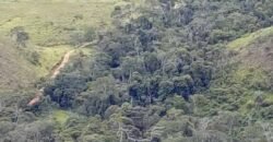 Fazenda à Venda 181,5 Hectares para Pecuária Infraestrutura Completa | Santa Rita/ MG