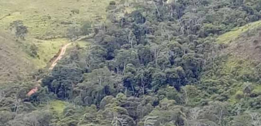 Fazenda à Venda 181,5 Hectares para Pecuária Infraestrutura Completa | Santa Rita/ MG