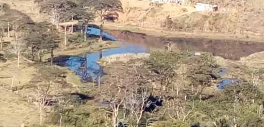 Fazenda à Venda 181,5 Hectares para Pecuária Infraestrutura Completa | Santa Rita/ MG