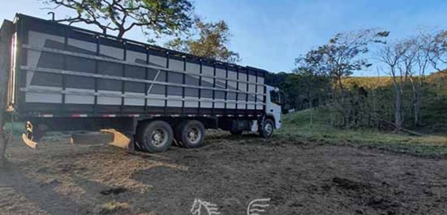 Fazenda à Venda 181,5 Hectares para Pecuária Infraestrutura Completa | Santa Rita/ MG