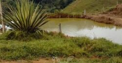 Fazenda à Venda 181,5 Hectares para Pecuária Infraestrutura Completa | Santa Rita/ MG