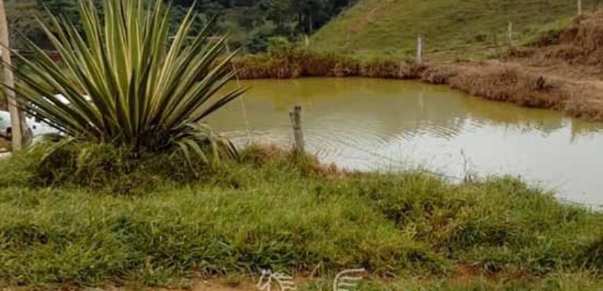 Fazenda à Venda 181,5 Hectares para Pecuária Infraestrutura Completa | Santa Rita/ MG