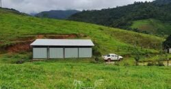 Fazenda à Venda 181,5 Hectares para Pecuária Infraestrutura Completa | Santa Rita/ MG