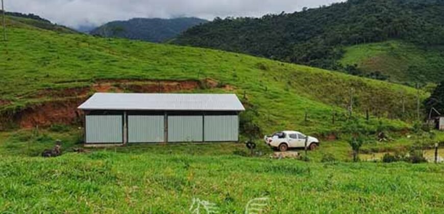 Fazenda à Venda 181,5 Hectares para Pecuária Infraestrutura Completa | Santa Rita/ MG