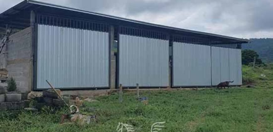 Fazenda à Venda 181,5 Hectares para Pecuária Infraestrutura Completa | Santa Rita/ MG