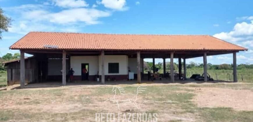 Fazenda à Venda 88.000 hectares Oportunidade na Pecuária no Pantanal | Cuiabá/ MT Fazenda à Venda 88.000 hectares Oportunidade na Pecuária no Pantanal | Cuiabá/ MT