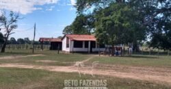 Fazenda à Venda 88.000 hectares Oportunidade na Pecuária no Pantanal | Cuiabá/ MT Fazenda à Venda 88.000 hectares Oportunidade na Pecuária no Pantanal | Cuiabá/ MT