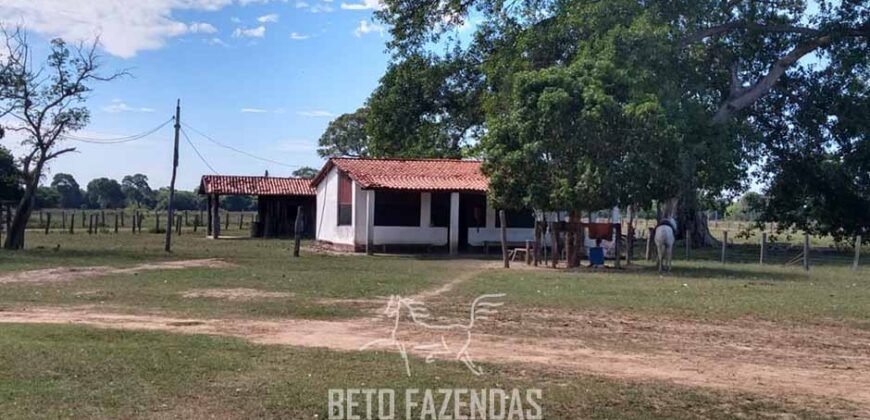 Fazenda à Venda 88.000 hectares Oportunidade na Pecuária no Pantanal | Cuiabá/ MT Fazenda à Venda 88.000 hectares Oportunidade na Pecuária no Pantanal | Cuiabá/ MT