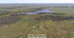 Fazenda à Venda 88.000 hectares Oportunidade na Pecuária no Pantanal | Cuiabá/ MT Fazenda à Venda 88.000 hectares Oportunidade na Pecuária no Pantanal | Cuiabá/ MT