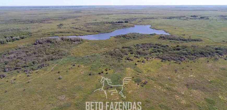 Fazenda à Venda 88.000 hectares Oportunidade na Pecuária no Pantanal | Cuiabá/ MT Fazenda à Venda 88.000 hectares Oportunidade na Pecuária no Pantanal | Cuiabá/ MT
