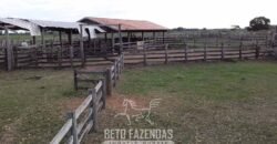 Fazenda à Venda 88.000 hectares Oportunidade na Pecuária no Pantanal | Cuiabá/ MT Fazenda à Venda 88.000 hectares Oportunidade na Pecuária no Pantanal | Cuiabá/ MT