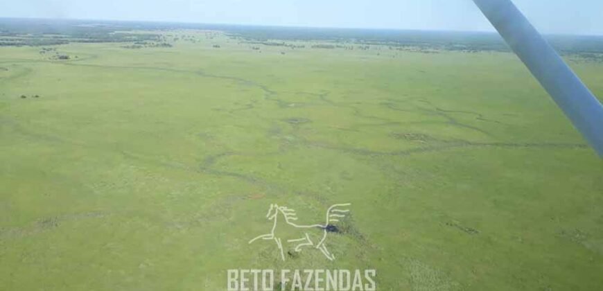 Fazenda à Venda 88.000 hectares Oportunidade na Pecuária no Pantanal | Cuiabá/ MT Fazenda à Venda 88.000 hectares Oportunidade na Pecuária no Pantanal | Cuiabá/ MT