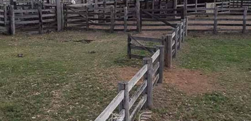 Fazenda à Venda 88.000 hectares Oportunidade na Pecuária no Pantanal | Cuiabá/ MT Fazenda à Venda 88.000 hectares Oportunidade na Pecuária no Pantanal | Cuiabá/ MT