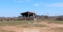 Fazenda à Venda 88.000 hectares Oportunidade na Pecuária no Pantanal | Cuiabá/ MT Fazenda à Venda 88.000 hectares Oportunidade na Pecuária no Pantanal | Cuiabá/ MT