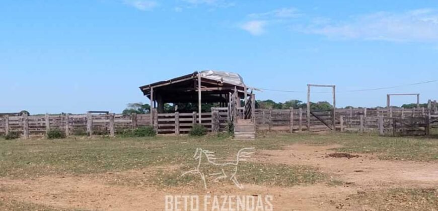 Fazenda à Venda 88.000 hectares Oportunidade na Pecuária no Pantanal | Cuiabá/ MT Fazenda à Venda 88.000 hectares Oportunidade na Pecuária no Pantanal | Cuiabá/ MT