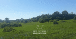 Fazenda à Venda 88.000 hectares Oportunidade na Pecuária no Pantanal | Cuiabá/ MT Fazenda à Venda 88.000 hectares Oportunidade na Pecuária no Pantanal | Cuiabá/ MT