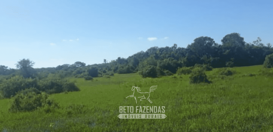Fazenda à Venda 88.000 hectares Oportunidade na Pecuária no Pantanal | Cuiabá/ MT Fazenda à Venda 88.000 hectares Oportunidade na Pecuária no Pantanal | Cuiabá/ MT